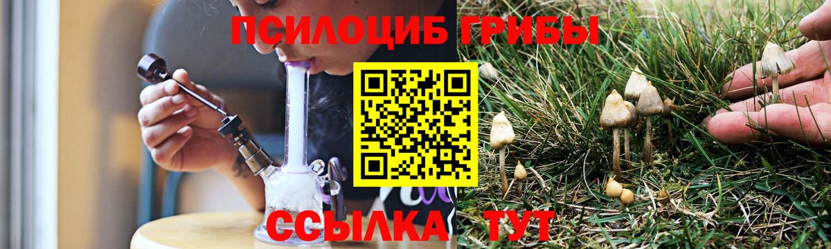 Кировск  Псилоцибиновые грибы ЛСД  Вход с VPN  Галлюциногенные грибы Psilocybine cubensis 
